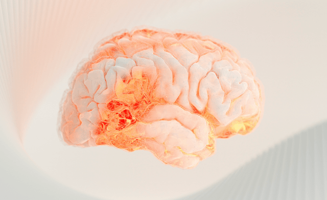 =?UTF-8?Q?Screenshot_2025-09-15_at_6.50.04=E2=80=AFPM?=